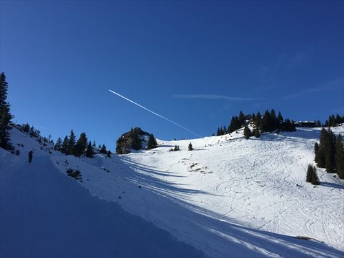 IMG_5691_R.JPG