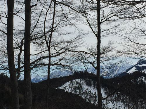 IMG_6728_R.JPG