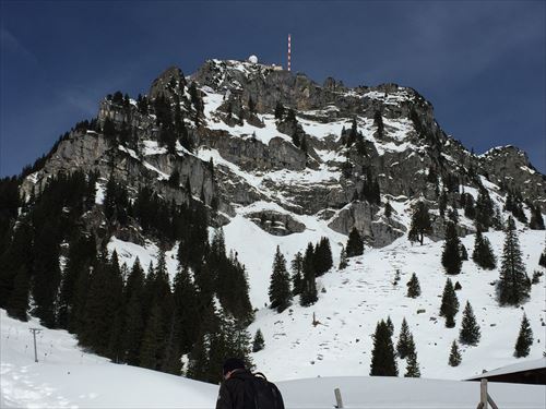 IMG_6741_R.JPG