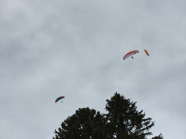 IMG_6916_R.JPG