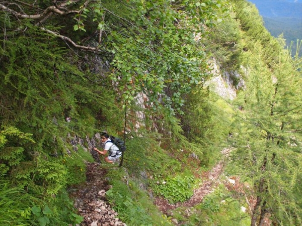 P7194305_R.JPG