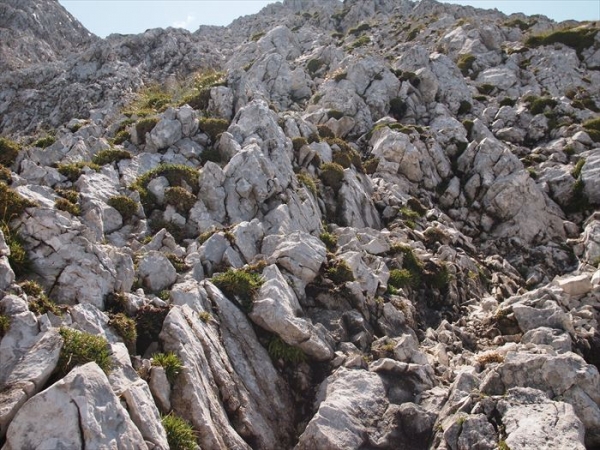 P7194333_R.JPG