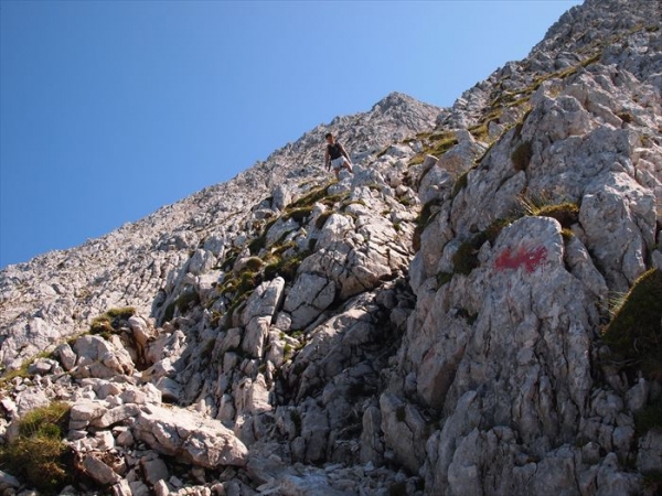 P7194356_R.JPG