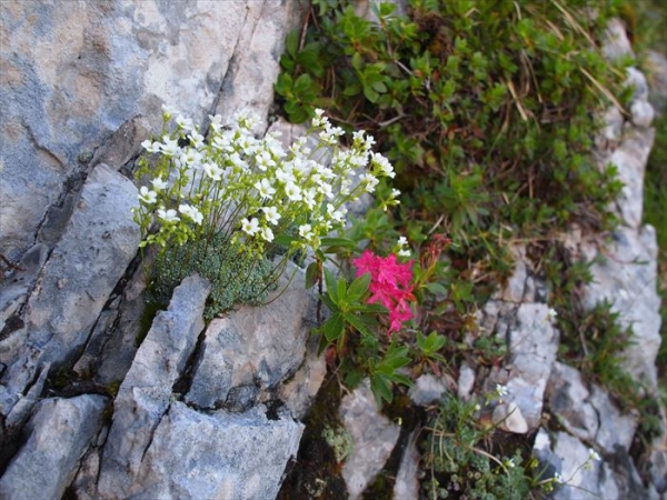 P7194369_R.JPG