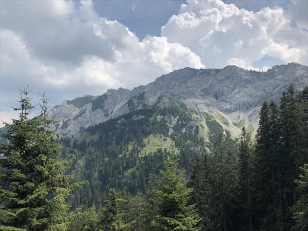 IMG_1285_R.JPG