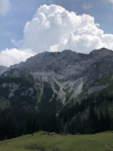 IMG_1289_R.JPG