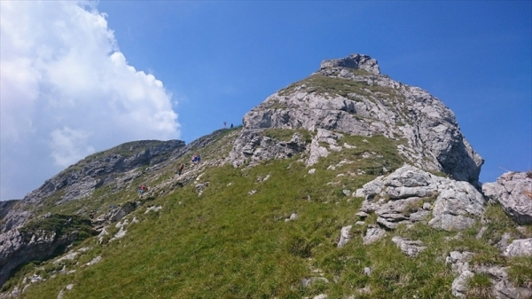 IMG_1362_R.JPG