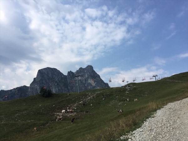 IMG_1364_R.JPG