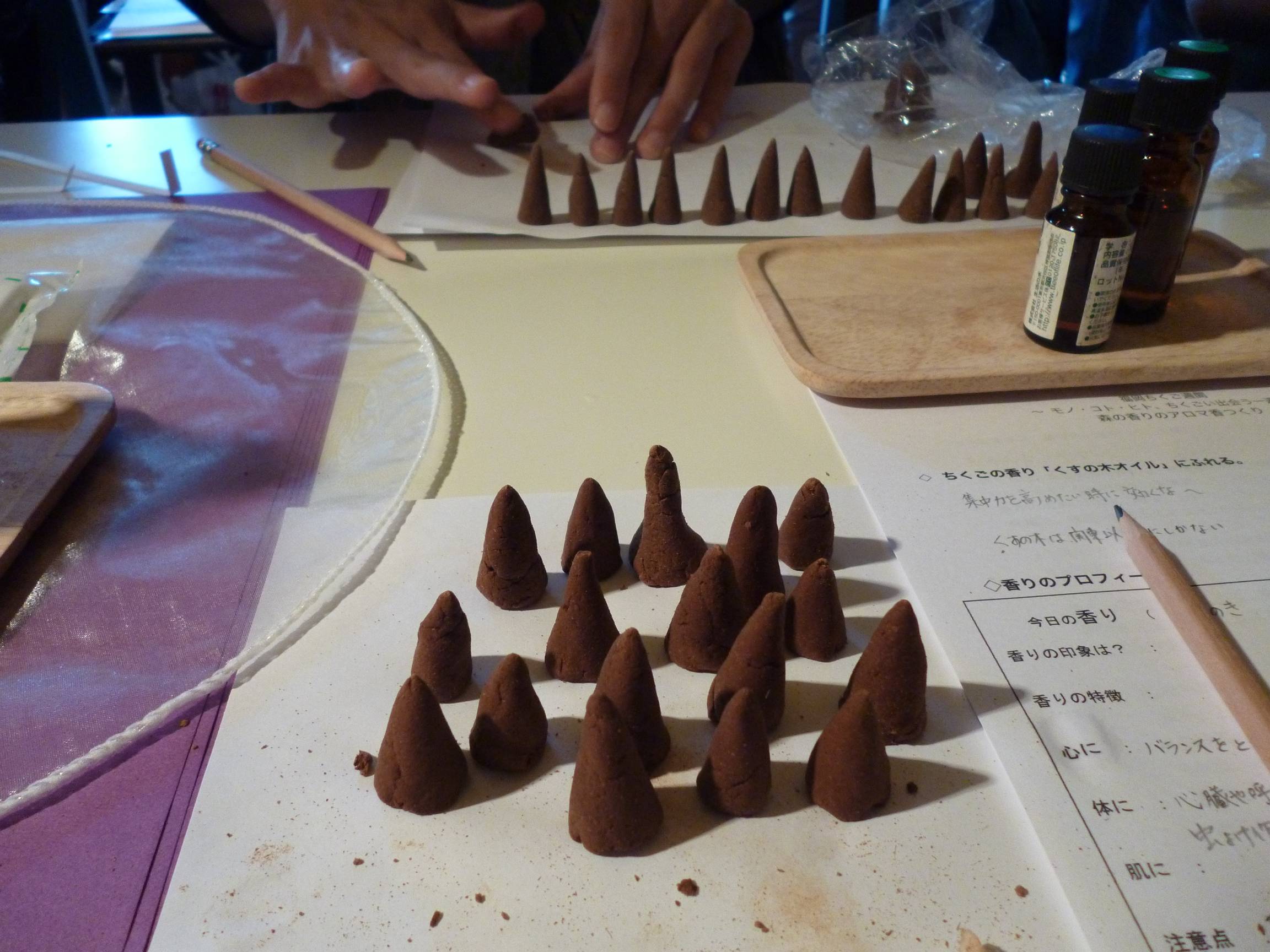 P1020481_R.JPG