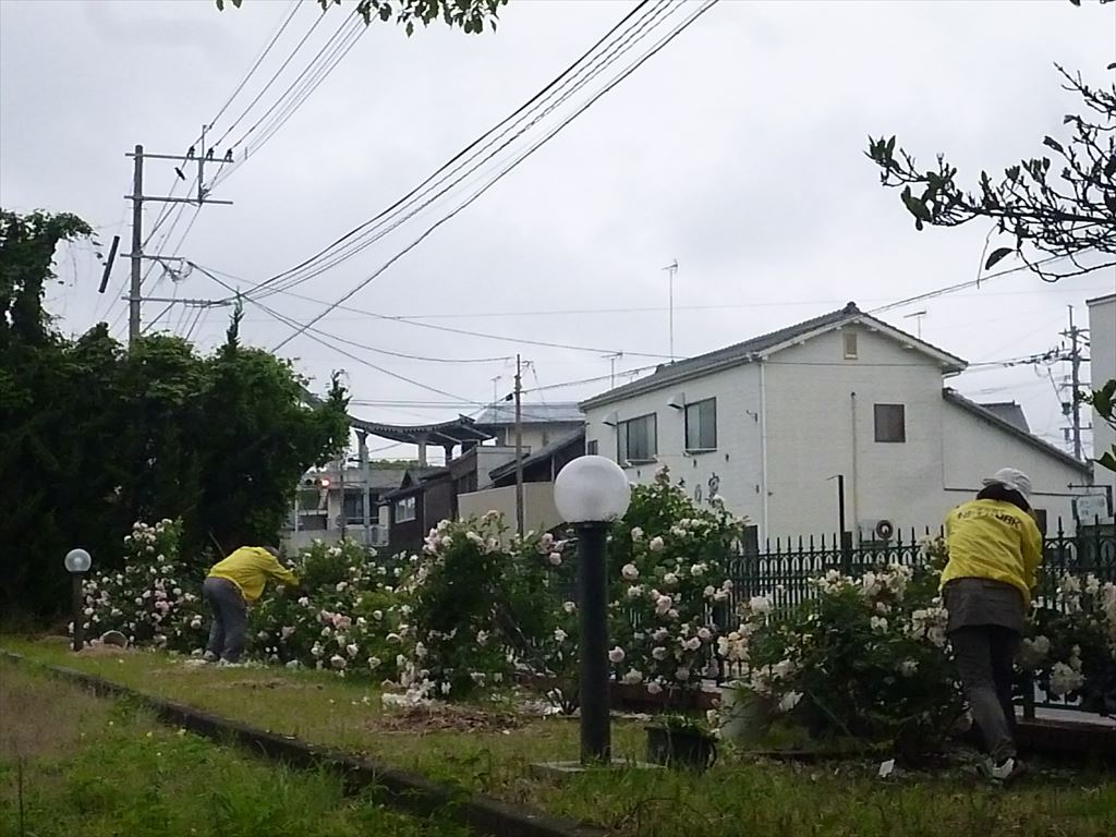 P1040424_R.JPG