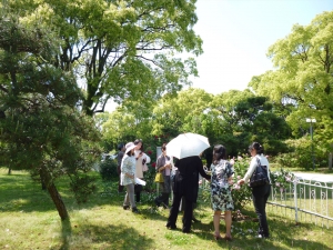 P1040610_R.JPG