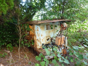 P1050801_R.JPG