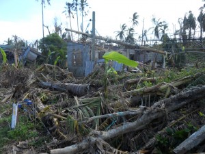 フィリピン台風30号被害