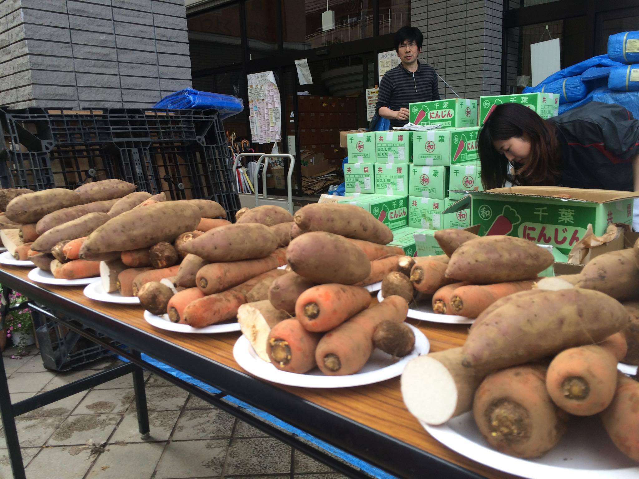 Kumamoto1