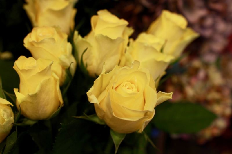 IMG_4796.jpg