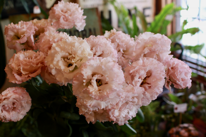 IMG_0397.png
