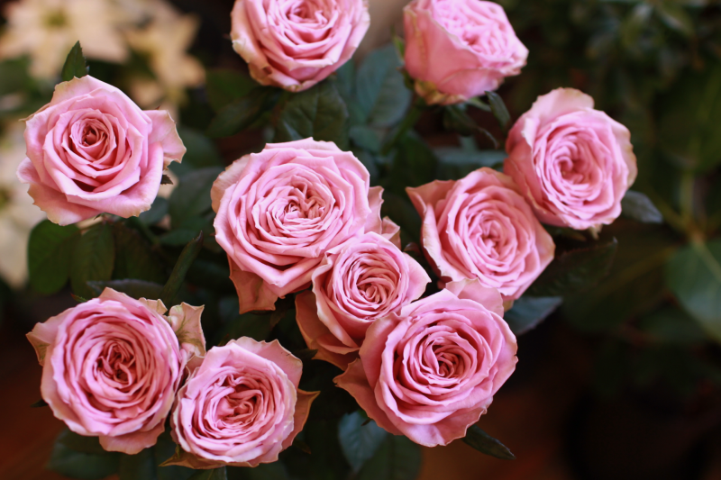 IMG_0396.png