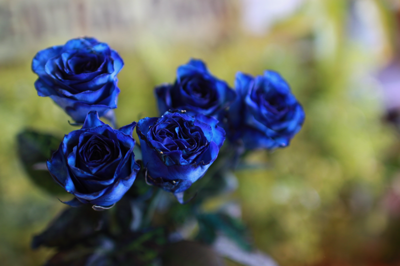 IMG_0398.png