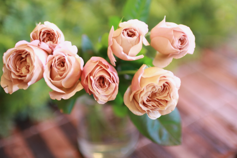 IMG_0783.png