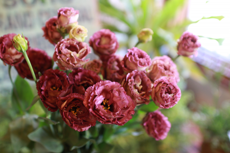 IMG_0768.png
