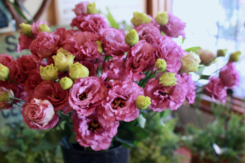IMG_0770.png