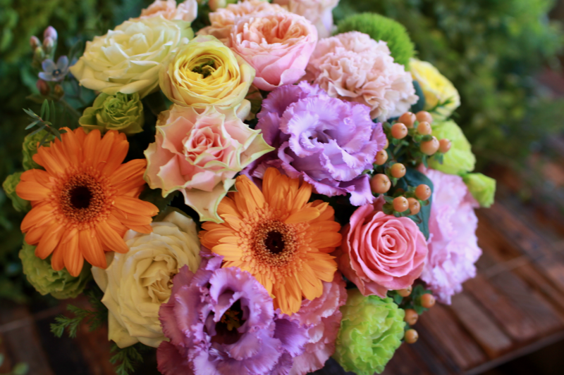 IMG_0572.png