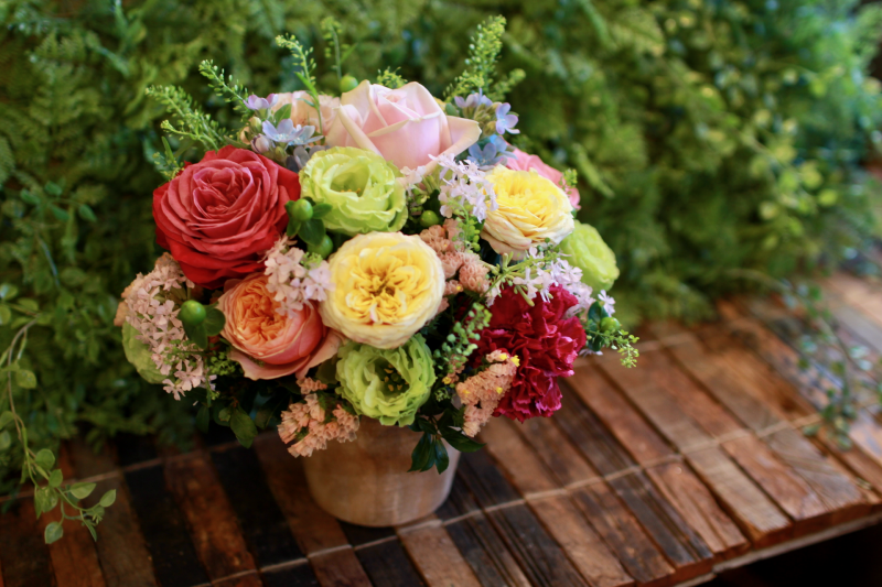 IMG_0732.png