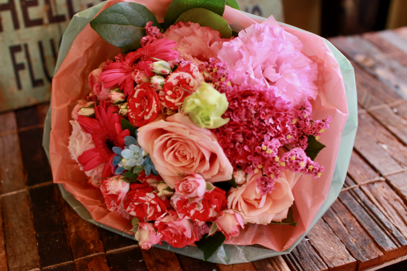 IMG_0509.png