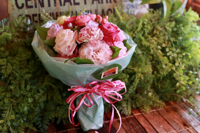 IMG_0557.png