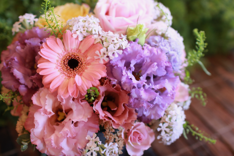 IMG_0808.png