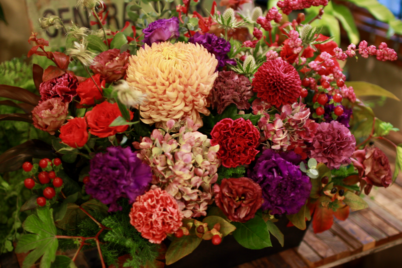 IMG_0885.png