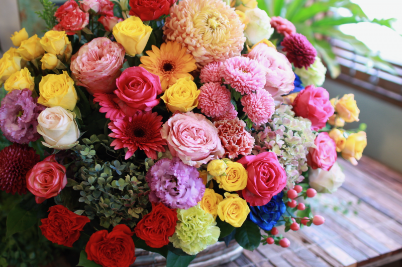 IMG_0893.png