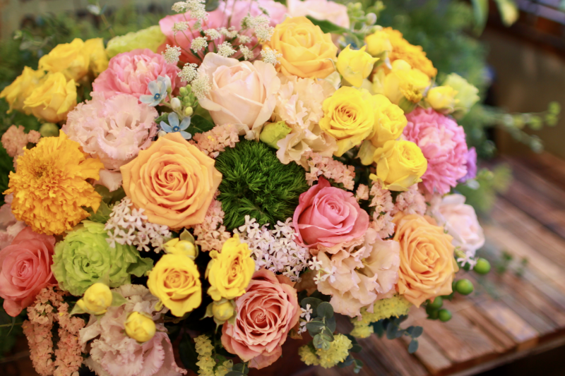 IMG_1155.png