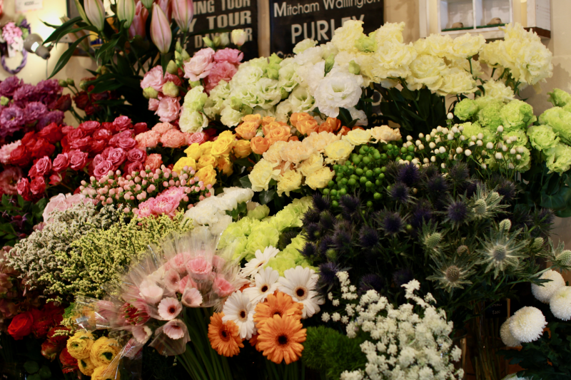 IMG_1507.png