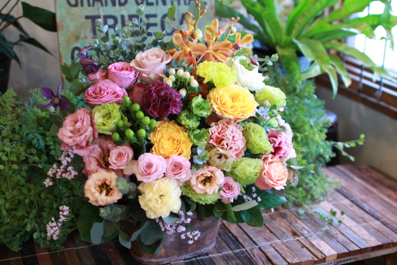 IMG_1447.png