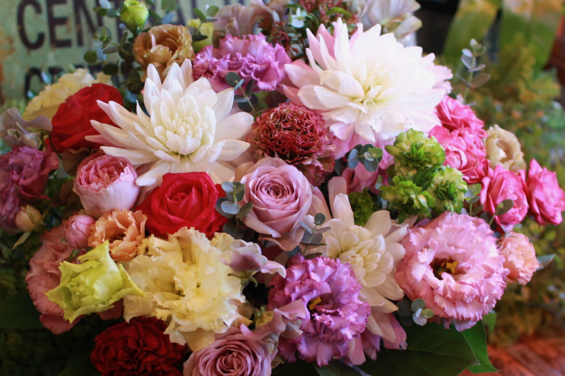 IMG_1590.png