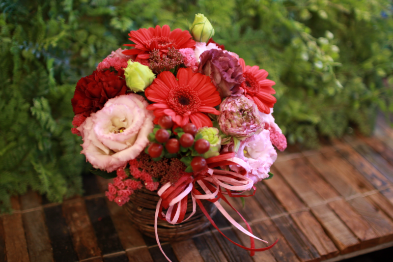 IMG_1687.png