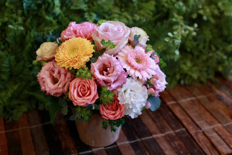 IMG_1796.png