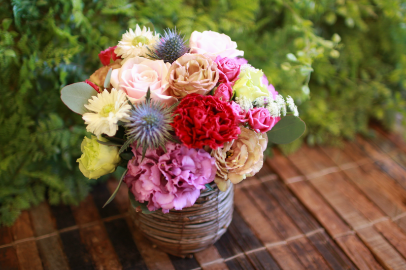 IMG_1798.png