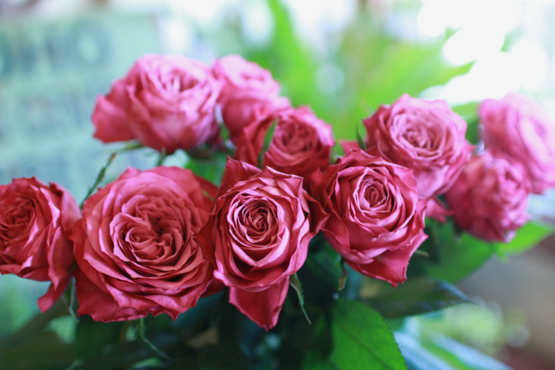 IMG_1858.png