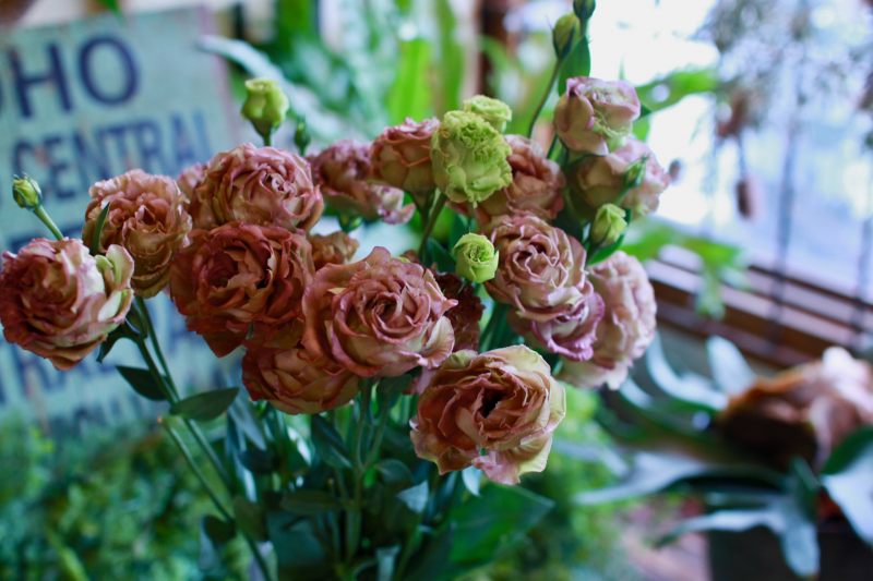 IMG_1972.png
