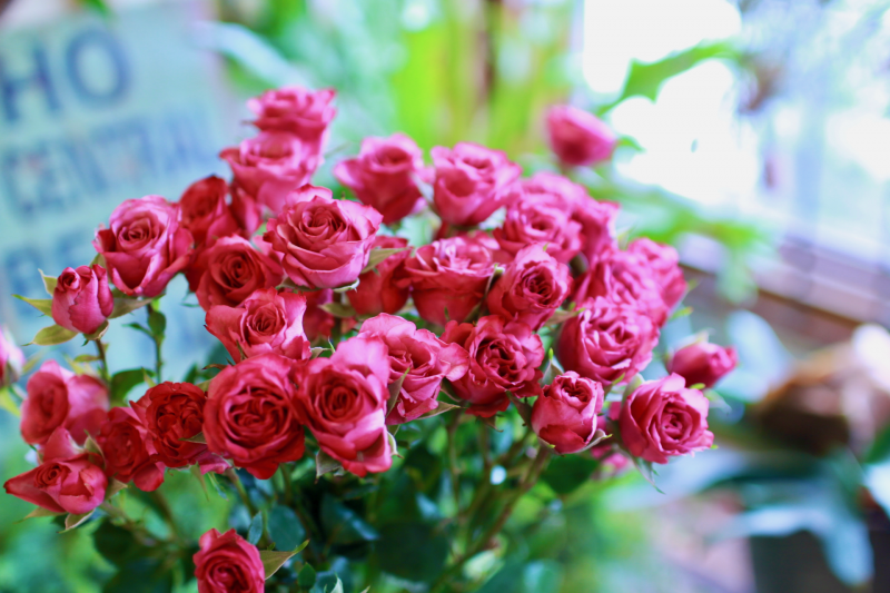 IMG_1967.png