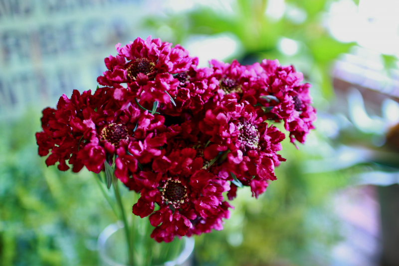 IMG_1960.png