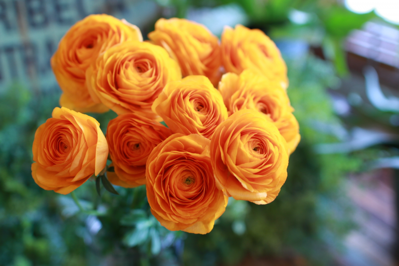IMG_1953.png