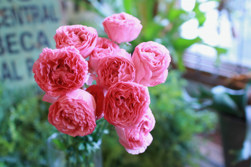 IMG_2145.png