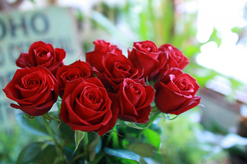 IMG_2158.png