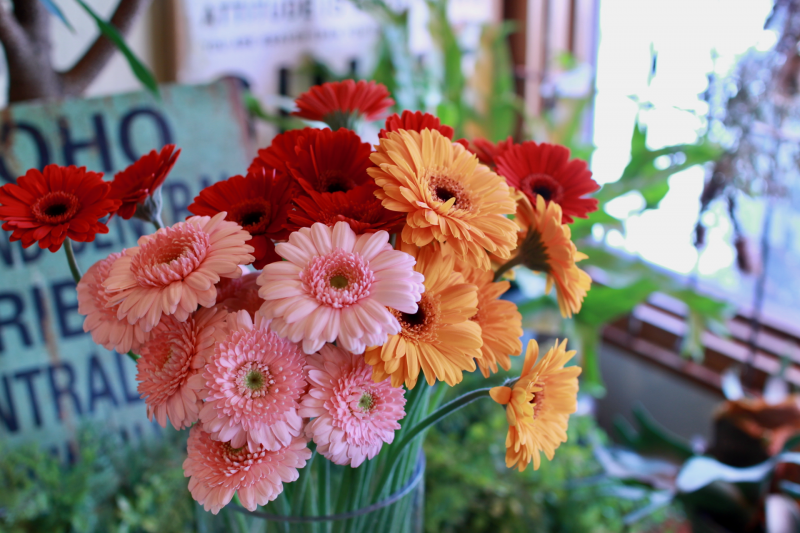 IMG_2162.png