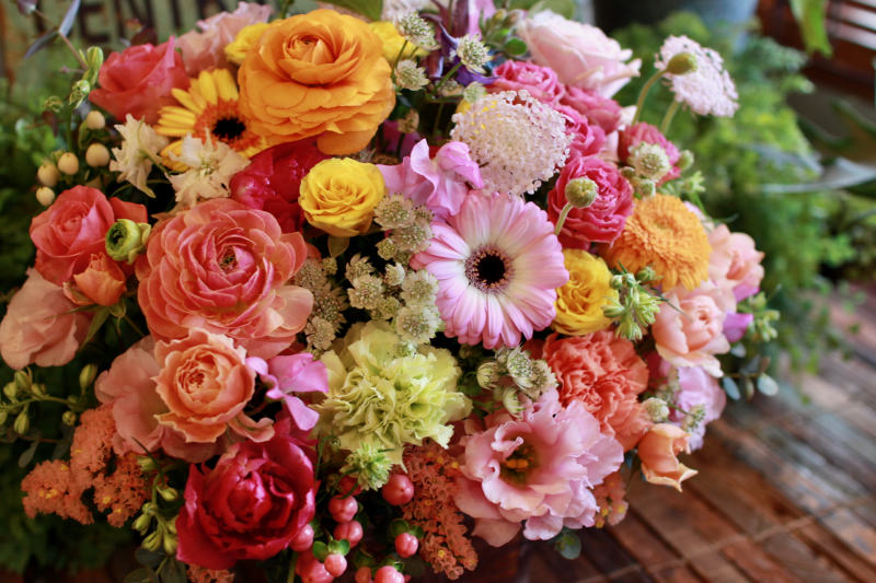 IMG_2020.png