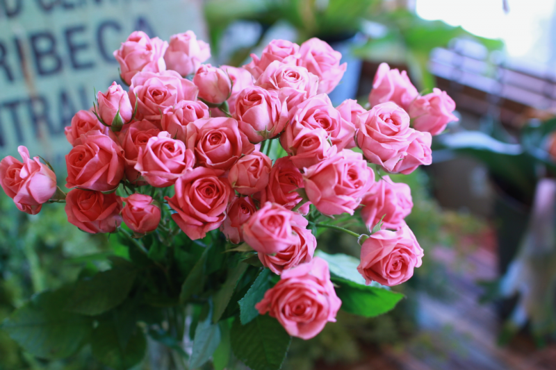 IMG_7311.png