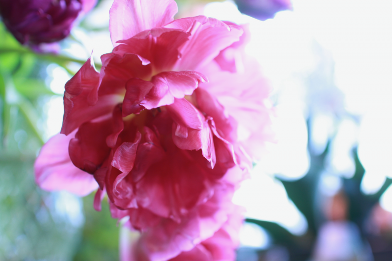 IMG_7324.png